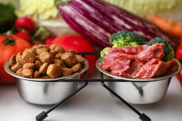 狗狗食量計算 狗狗食量計算