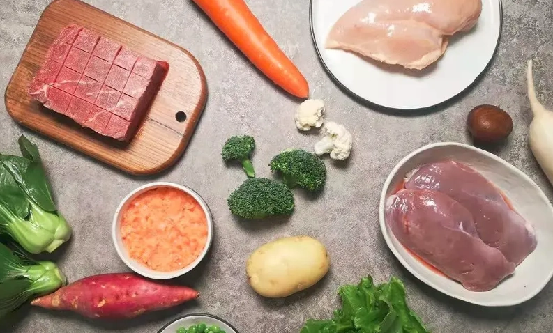 優質狗狗食品 優質狗狗食品