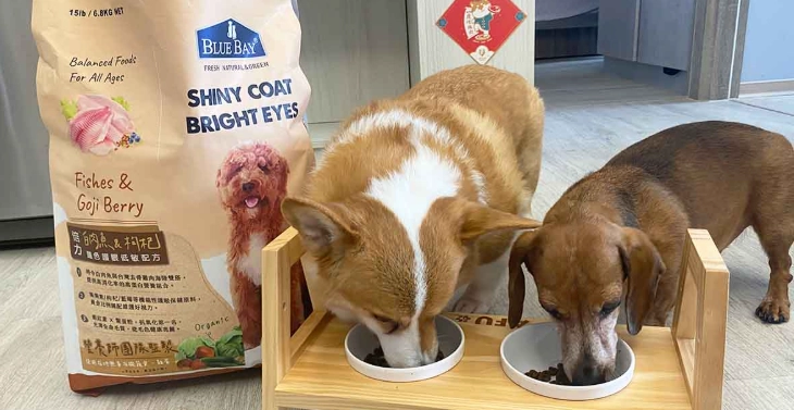 狗飼料比較 狗飼料比較