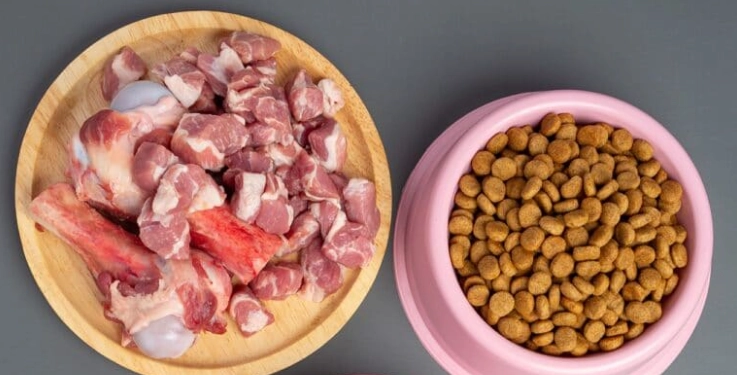 老年犬鮮食製作 老年犬鮮食製作