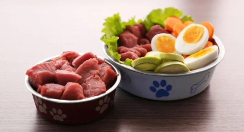 狗狗食量計算 狗狗食量計算