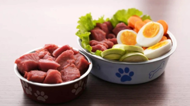 幼犬餵食頻率 幼犬餵食頻率