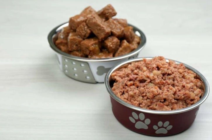 狗狗一天吃一餐 狗狗一天吃一餐