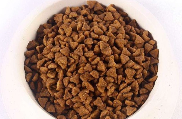 狗飼料比較 狗飼料比較