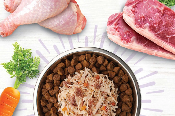 犬隻飲食健康 犬隻飲食健康