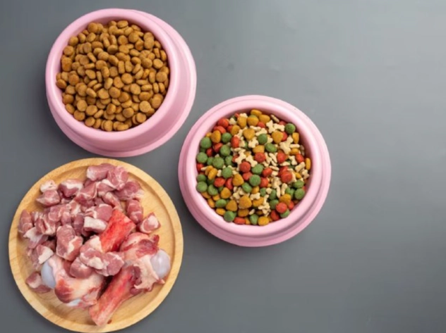 狗狗食量計算 狗狗食量計算