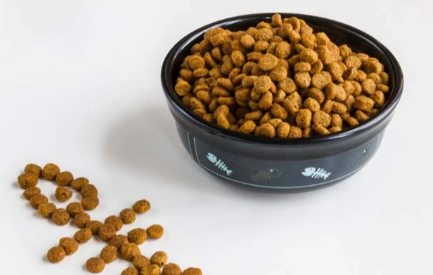 狗飼料比較 狗飼料比較