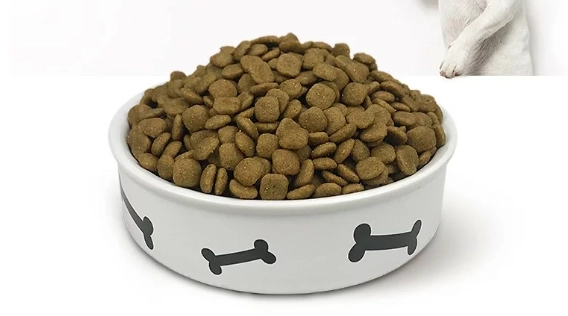 狗飼料比較 狗飼料比較