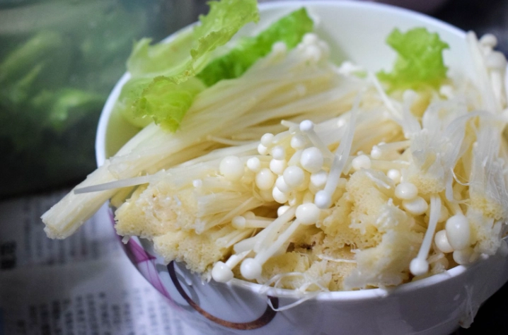 狗可以吃蘑菇嗎 狗可以吃蘑菇嗎