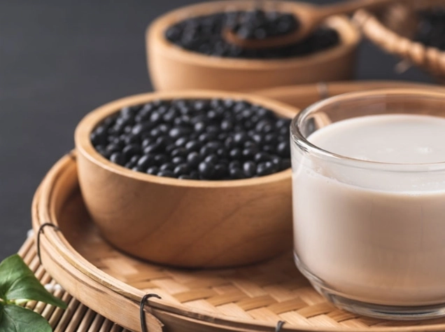 狗狗飲食禁忌 狗狗飲食禁忌