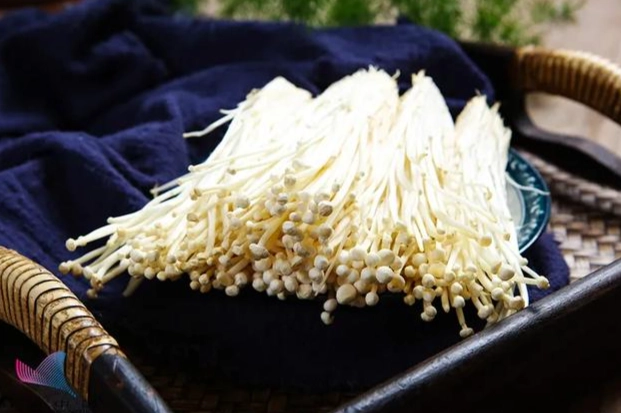 狗吃金針菇安全嗎 狗吃金針菇安全嗎