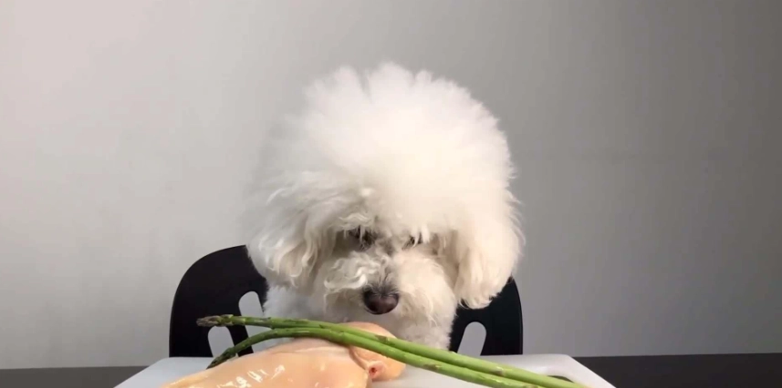 狗狗吃蔥中毒 狗狗吃蔥中毒