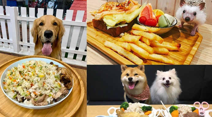 寵物零食推薦 寵物零食推薦