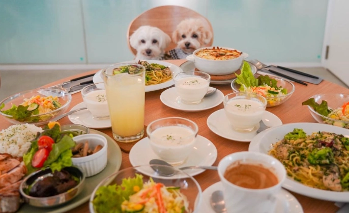 台灣寵物食品 台灣寵物食品