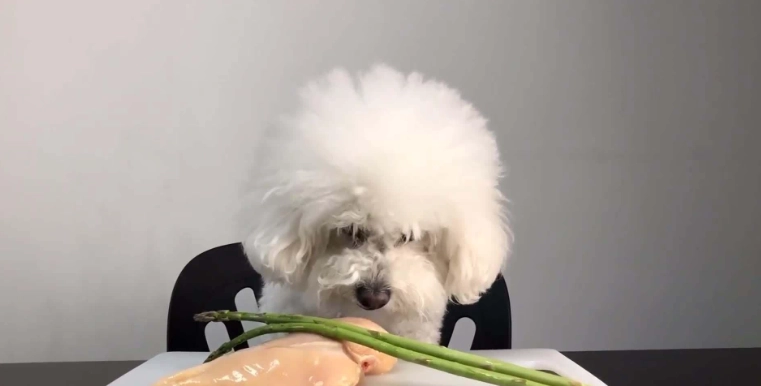 狗零食安全 狗零食安全