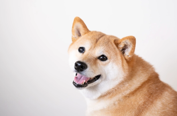 硬塊原因處理 硬塊原因處理