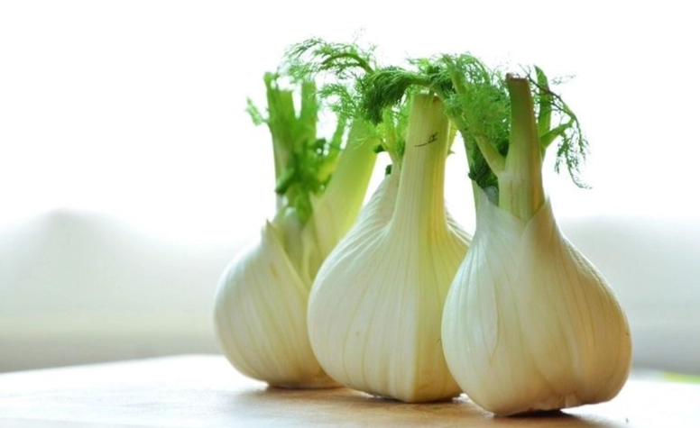 狗茴香好處