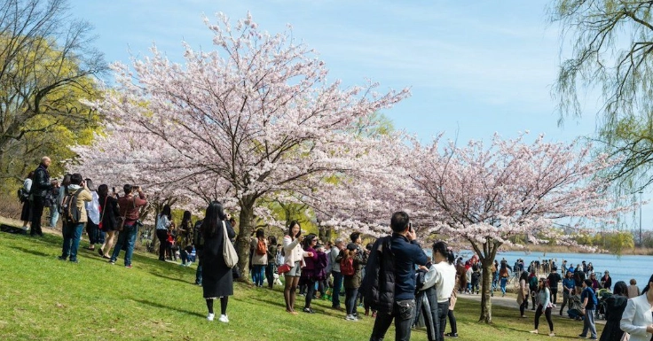上野公園 一日遊 上野公園 一日遊