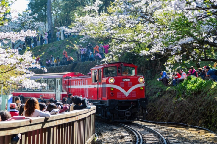 台灣鐵道旅行 台灣鐵道旅行