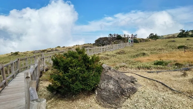 陽明山步道 陽明山步道