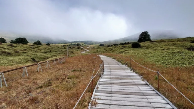 台北近郊登山 台北近郊登山
