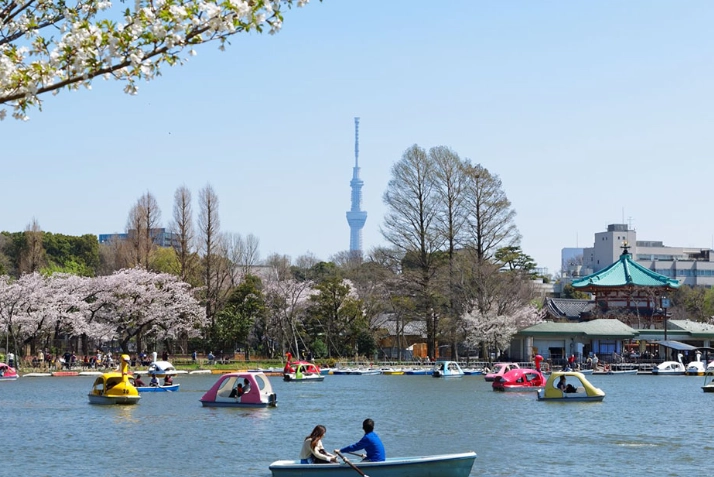 上野公園 一日遊 上野公園 一日遊