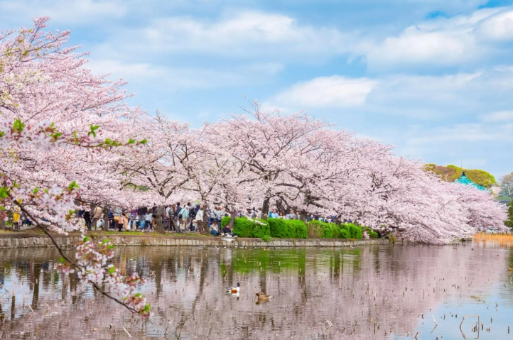 東京上野公園怎麼去