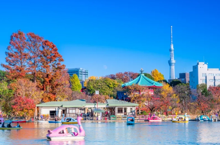 上野公園交通方式