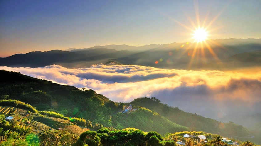 阿里山自駕