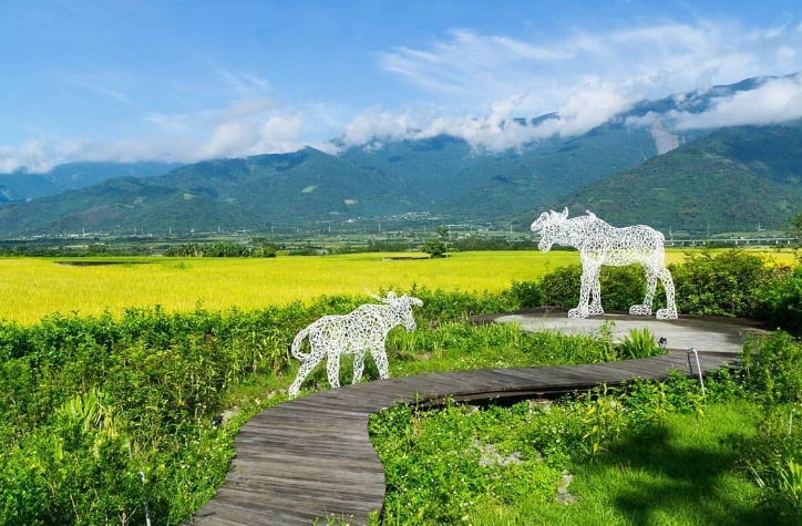 花東縱谷旅遊 花東縱谷旅遊
