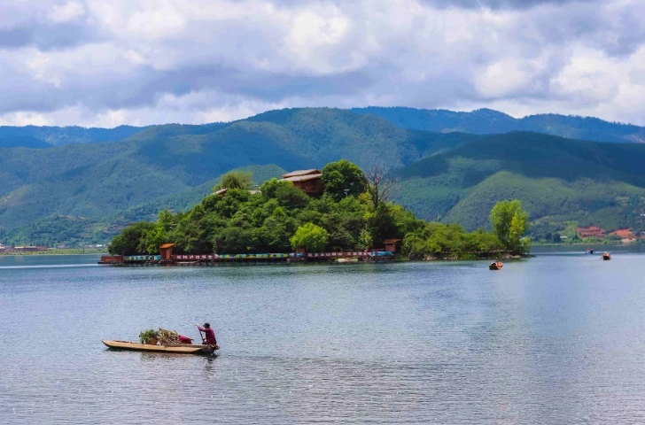 大湖草莓 大湖草莓
