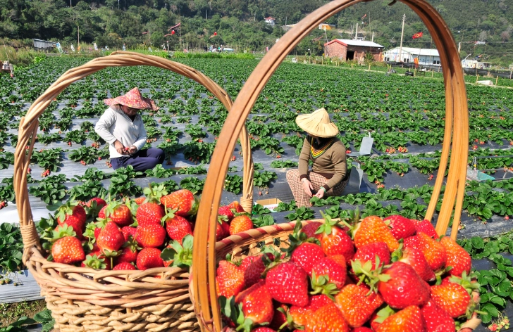大湖旅遊 大湖旅遊