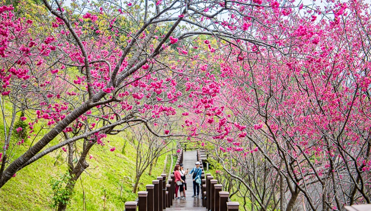 桃園免費景點 桃園免費景點