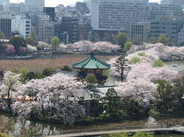 上野公園交通方式