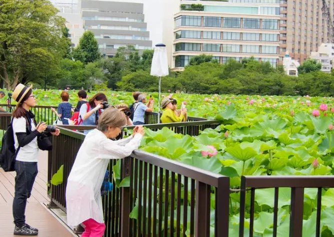 上野公園 活動 上野公園 活動