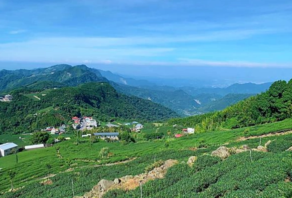 奮起湖 寵物 奮起湖 寵物