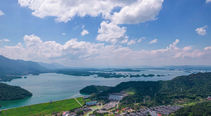 大湖草莓 大湖草莓