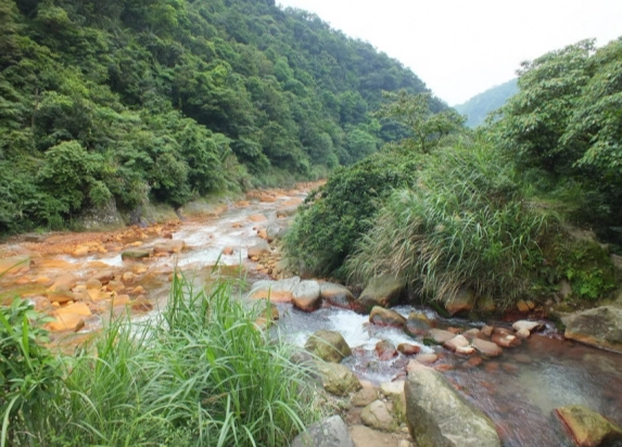野溪溫泉違法 野溪溫泉違法