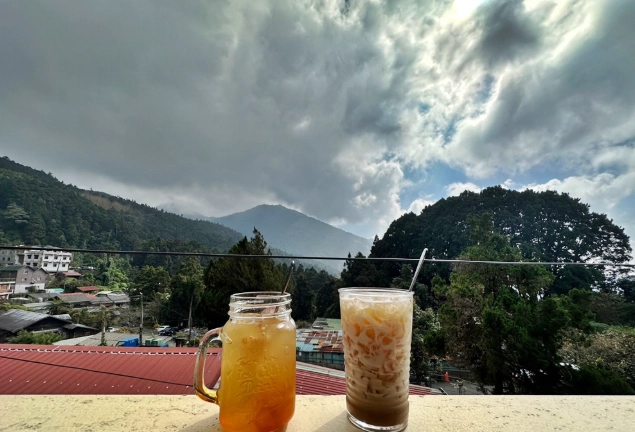 奮起湖 帶狗 奮起湖 帶狗