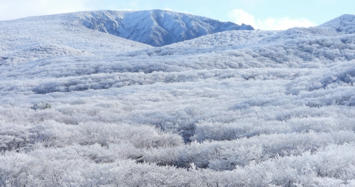 濟州島冬季旅遊 濟州島冬季旅遊