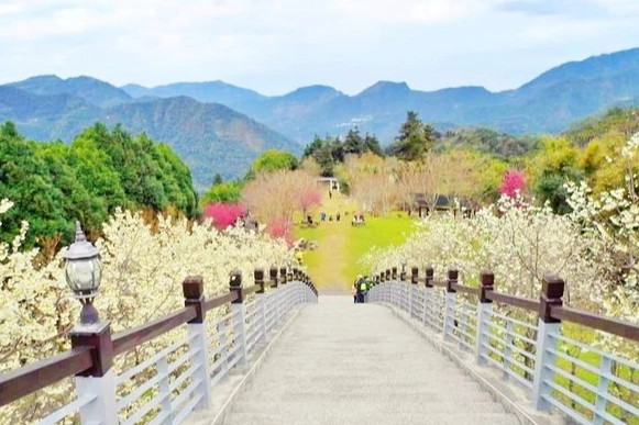 嘉義旅遊攻略 嘉義旅遊攻略