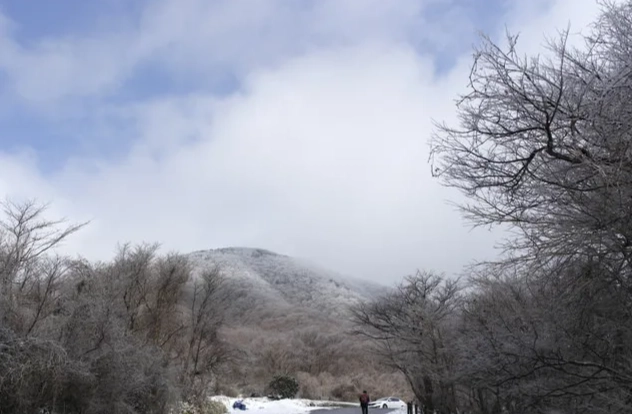 陽明山步道 陽明山步道