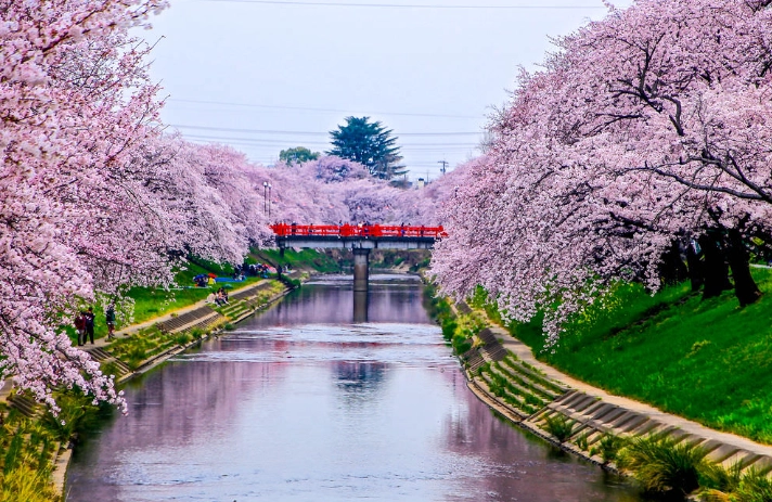 名古屋旅遊攻略 名古屋旅遊攻略