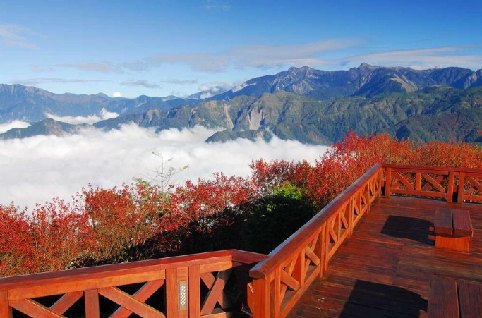 阿里山旅遊攻略 阿里山旅遊攻略