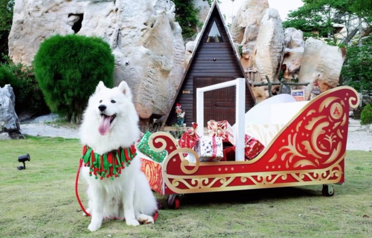 潮州寵物旅遊 潮州寵物旅遊