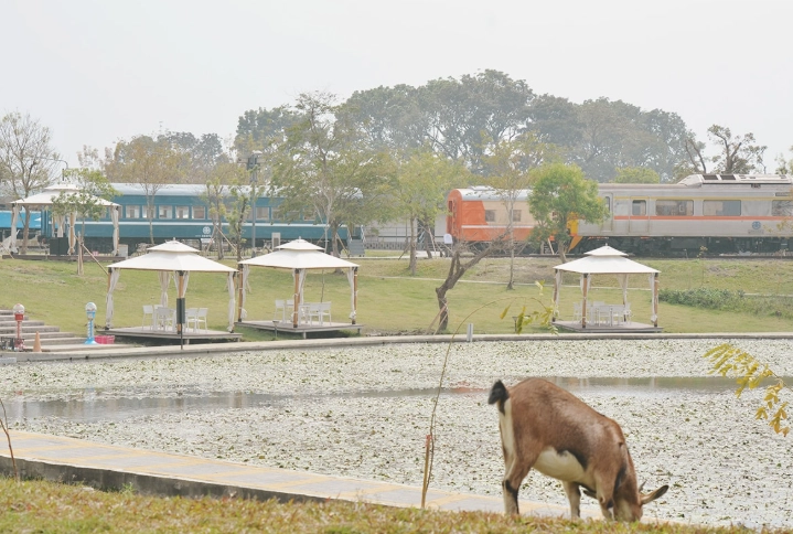 潮州寵物旅遊 潮州寵物旅遊