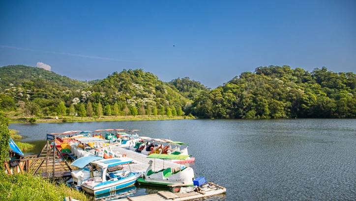 苗栗西湖景點 苗栗西湖景點