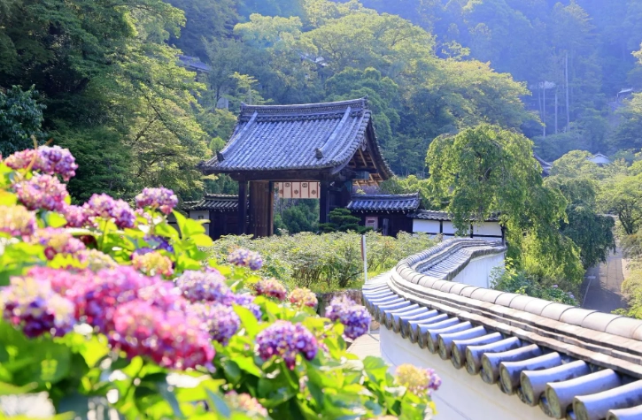 鎌倉旅遊 鎌倉旅遊