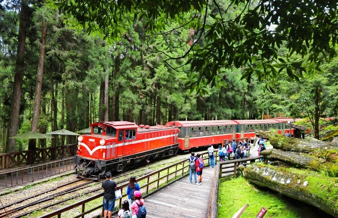 阿里山二日遊 阿里山二日遊