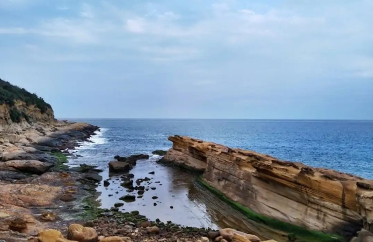 北海岸美食 北海岸美食